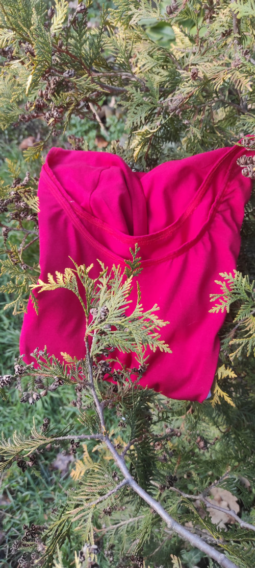 Dres — foto 1