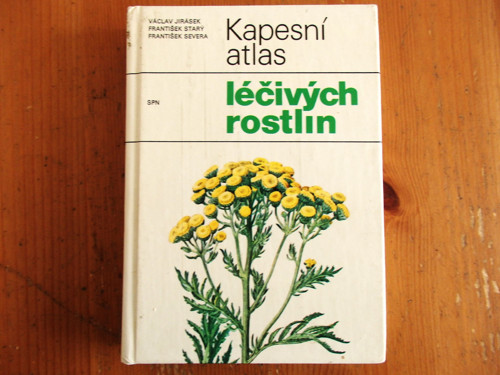 Léčivé rostliny — foto 1