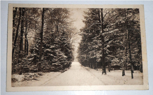 ČB vánoční POHLEDNICE, krajina, 1945 • VKKV
