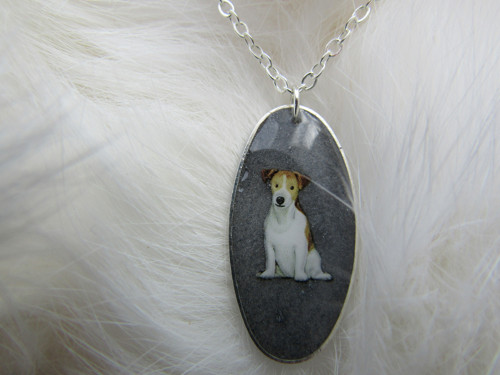 Foxteriér
