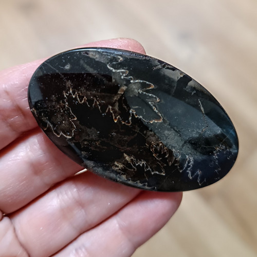 Amonitový Simbircite/Simbircit, ID 3682, 61x36 mm — foto 1
