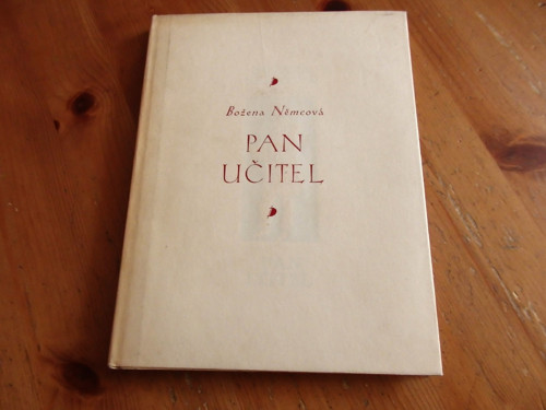 Pan učitel — foto 1