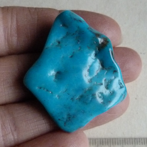 Tyrkys pravý - 4,1 cm — foto 1