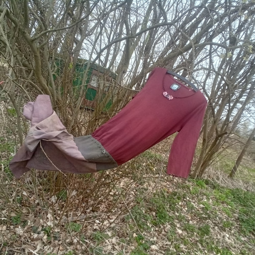 Už0Vka Brazilská