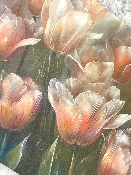 Tulipány P0008