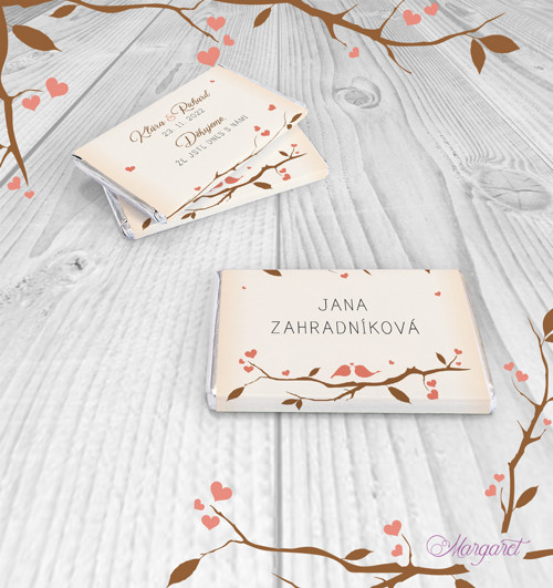 Čokojmenovky 10g | SK12