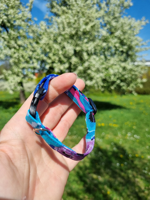 Obojek pro malé pejsky