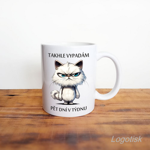 Hrnek s vtipnou kočkou