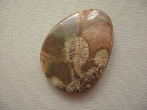 Placka - jaspis rainforest 44 mm, č.1f — foto 1