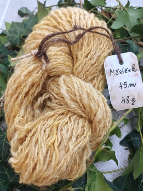 Měsíček — foto 1
