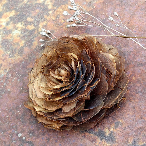 Rose - rust — foto 1