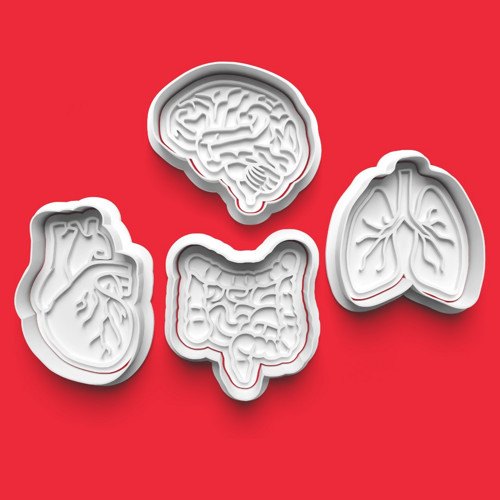 Set 4 vykrajovátek lidské ORGÁNY