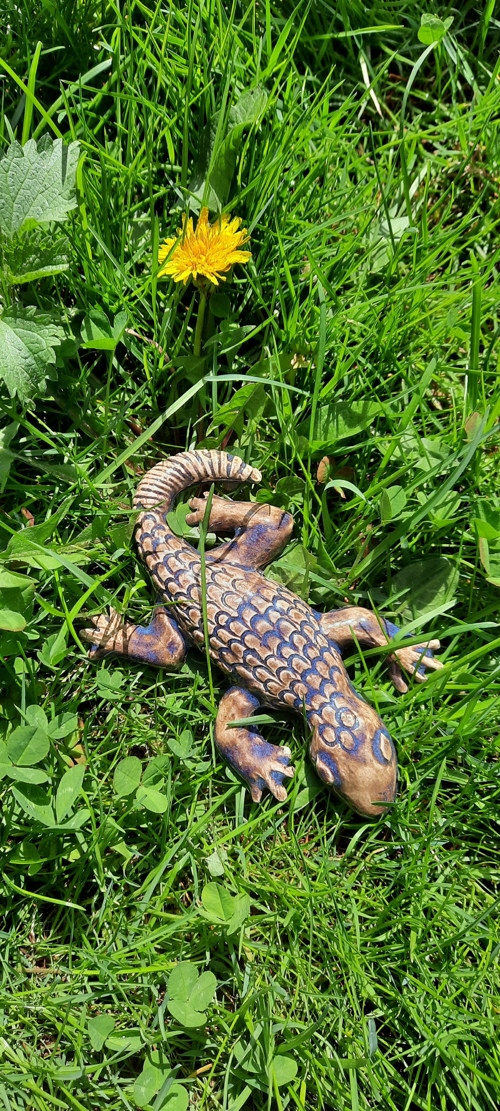 Ještěrka — foto 1
