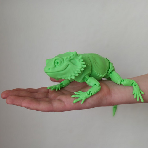 Agama vousatá — foto 1