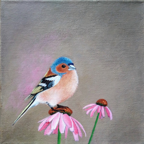 Pěnkava. Originál malba 20x20 cm, akryl.