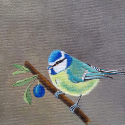 Sýkorka modřinka. Originál malba 20x20 cm, akryl.
