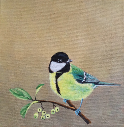 Sýkorka koňadra .Originál malba 20x20 cm, akryl.