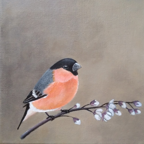 Hýl obecný. Originál malba 20x20 cm, akryl.