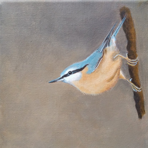 Brhlík lesní. Originál malba 20x20 cm, akryl.