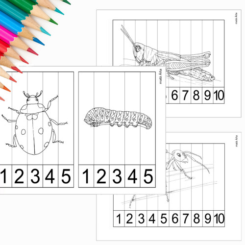 Puzzle Proužky - Hmyz Pdf — foto 1