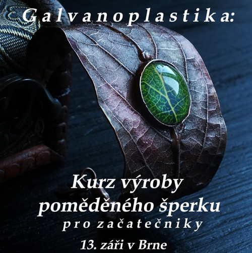 Skupinový Kurz electroformingu 1