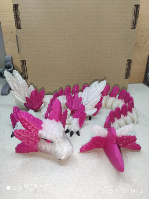 Axolotí drak