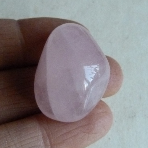 Růženín - 3 cm (R1)