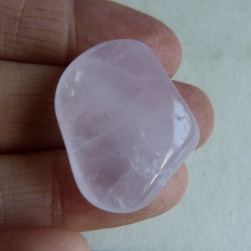 Růženín - 3,1 cm (R7)