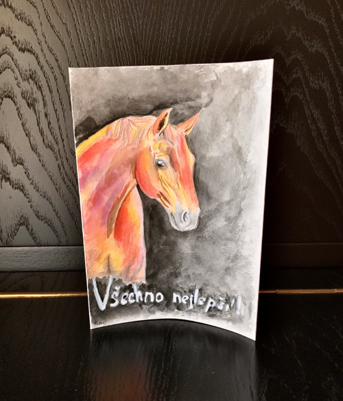 Přání Kůň Všechno nejlepší! — foto 1