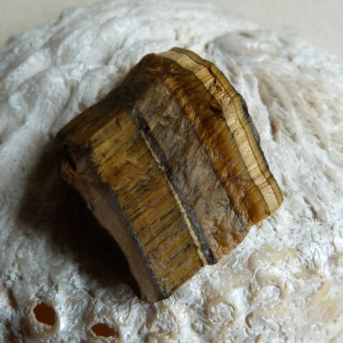 Tygří oko surové - 3,3 cm - Extra