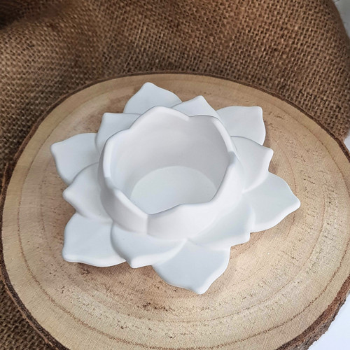 Lotus — foto 1