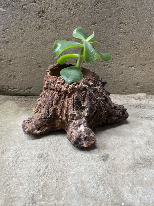 Designový květináč "Pařez" — foto 1
