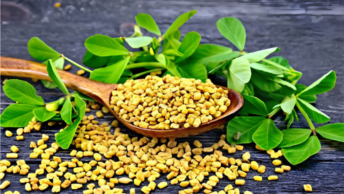 BIO Pískavice - řecké seno, 40 g