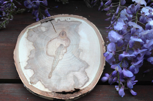 Březová podložka s obrázkem, s kůrou, 20 cm