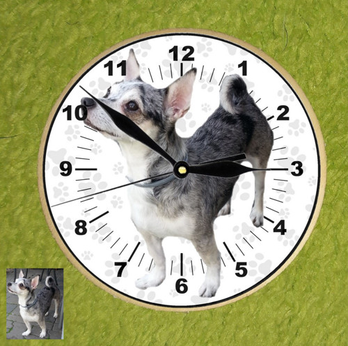 NÁSTĚNNÉ HODINY S VLASTNÍM PSEM 2 velikosti