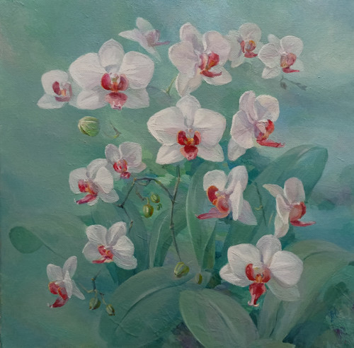 Orchideje