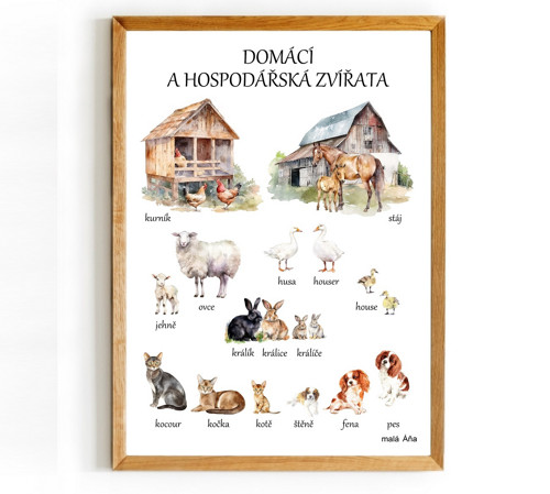 Plakát DOMÁCÍ A HOSPODÁŘSKÁ ZVÍŘATA