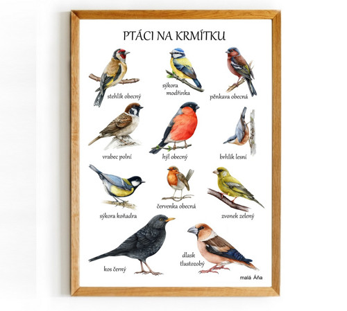 Plakát PTÁCI NA KRMÍTKU