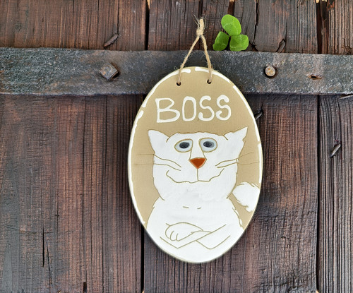 KOČIČÍ CEDULKA NA DVEŘE ... BOSS ...