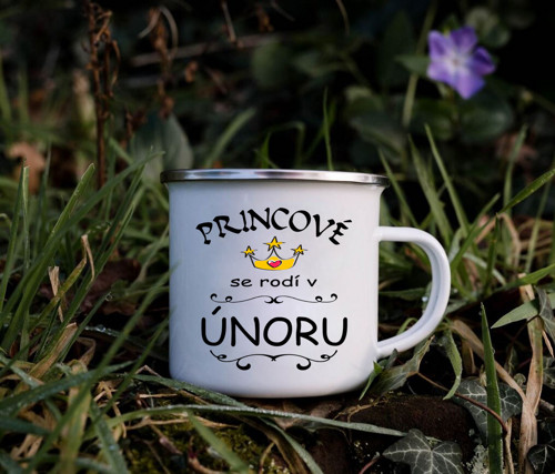 Princové se rodí v únoru - hrnek 330ml