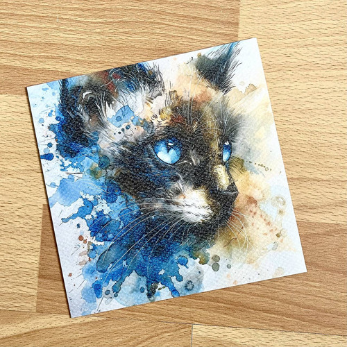 Art print Kočka P0017