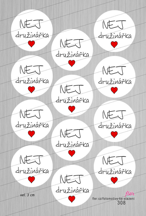 Motivy vel. 3 cm - s textem "NEJ družinářka"