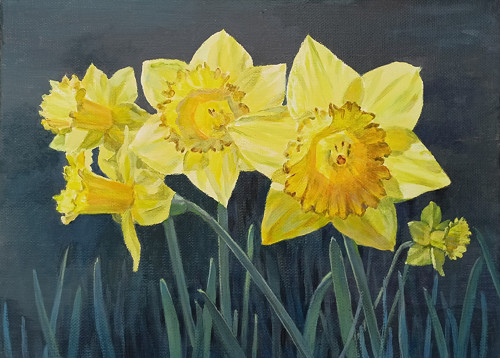 Narcisky.