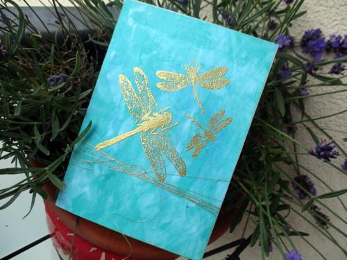 Dragonflies II. — foto 1