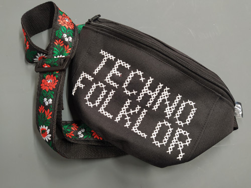 Ledvinka Techno folklor