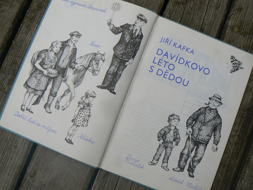 Davídkovo léto s dědou - Jiří Kafka...