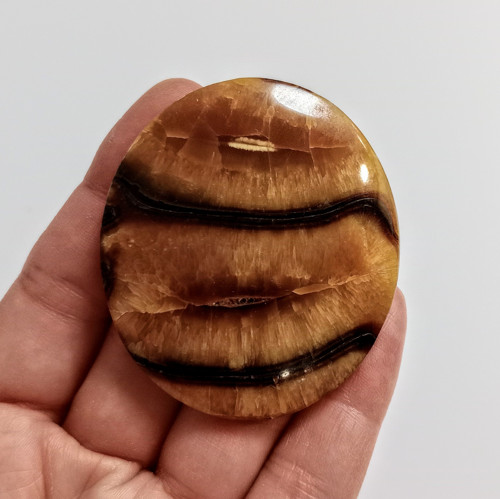 Amonitový Simbircit/Simbercit, ID 3964, 53x47 mm