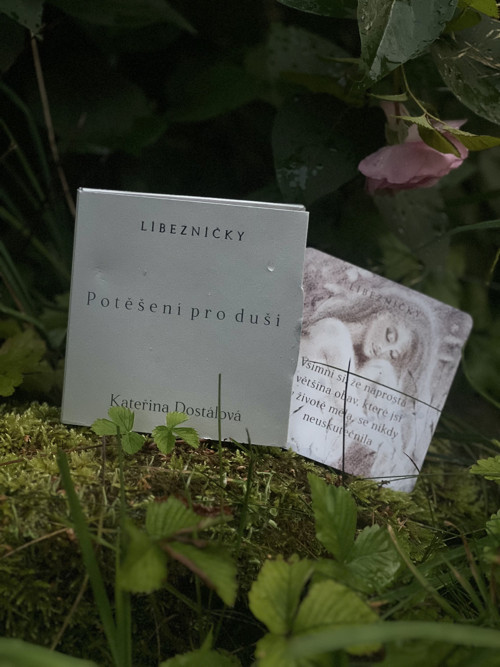 Terapeutické karty s Líbezníčky Potěšení pro duši