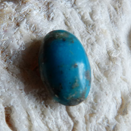 Tyrkys pravý - 2 cm — foto 1