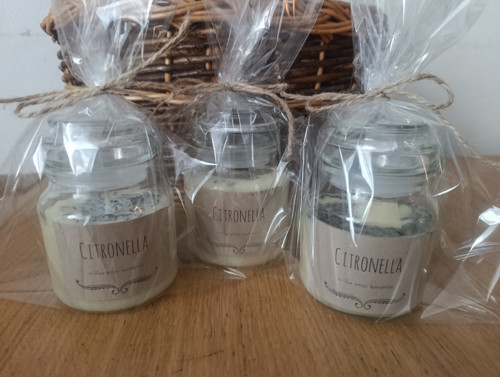 Citronella proti komárům